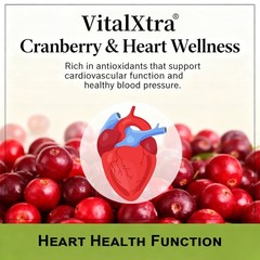 Urinary Tract Health Supplements Powerful Antioxidant Heart Gut Health Capsules