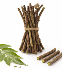 100 Pc Neem Sticks Azadirachta Indica Sticks DATUN for Teeth and Gums FREE SHIP