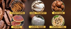 Mushroom Coffee, Instant Mushroom Coffee with Cordyceps, Reishi, King Trumpet,