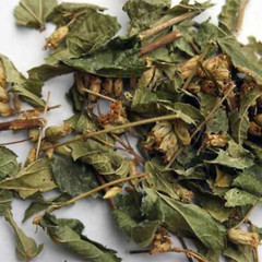 Calea Zacatechichi Mexican Dream Herb Tea 100% Pure Dried Leaves for Vivid Dream