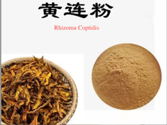 黄连浓缩提取物10:1/ Rhizoma Coptidis High Potency Powder10X /2oz-4oz