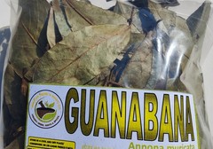 Soursop leaves, soursop leaf, Natural organic graviola leaves for tea