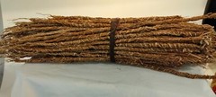 10 pc Organic Vetiver roots Africa gongoli Tea, Khus khus