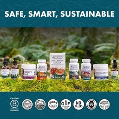 Reishi Mushroom Capsules 60ct 30 Servings Heart Immune Energy Vitality Support