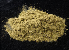 Bladderwrack Seaweed | Whole or Powder 1/ 4 / 8oz | Natural Iodine & Thyroid Aid