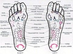 GOODBYE PAIN! Topical Herbal | Organic | St Johns Wort | $8 for small, $20 large