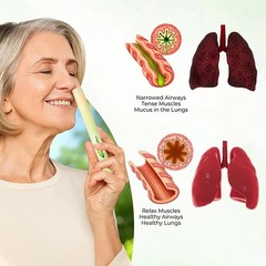 Revair Mullein Purifier Inhaler,with Natural Mullein Leaf Extract for Fresh Air