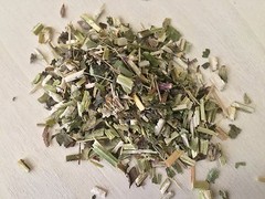 Wood Betony, Stachys officinalis, Wild-Crafted ~ Schmerbals Herbals