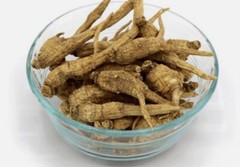 2024 ginseng- 100% Pure Wisconsin American Ginseng Dry Root (1.08 pound)