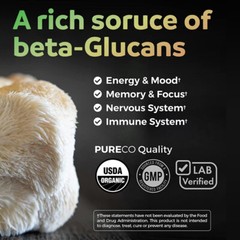 ORGANIC LION’S MANE MUSHROOM EXTRACT – BRAIN AND MOOD SUPPORT