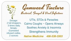 Gumweed Tincture Opens Airways, Clears Fungal Infections; Detox Kidney Prostrate
