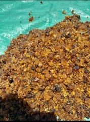 Premium Natural myrrh Resin – Grade A – Direct from Kenya
