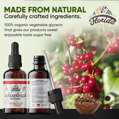 Organic Sarsaparilla Tincture Extract 670Mg Non GMO Root Drops 2 Oz
