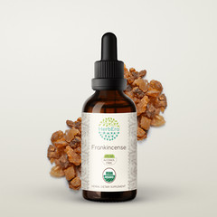 HerbEra Frankincense Alcohol-FREE Extract Tincture Organic (Boswellia Serrata)