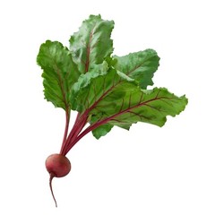 Beet Root Powder 3lbs (x3 – 1lb) Beta vulgaris Raw Non-GMO Super food Juice
