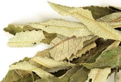 Whole Yerba Santa Leaf Wild Crafted Leaf 4oz TO 1lb