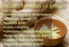 60 Wheatgrass & Ginger Root Capsules | Digestion, Alkalinity, Nutrients & More