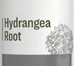 HYDRANGEA ROOT – Normal Urinary Tract & Hay Fever Support Tonic USA