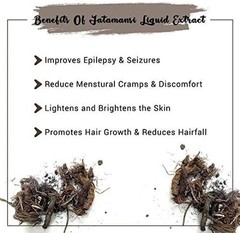 Premium Jatamansi Root Whole Spikenard Root Natural Ayurvedic Herbal Botanical