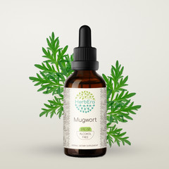 HerbEra Mugwort Alcohol-FREE Herbal Tincture, (Artemisia vulgaris)