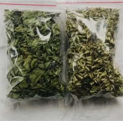 Dried Mexican Dream Herb CALEA ZACATECHICHI Lucid Pure 100% ORGANIC Herbal Tea