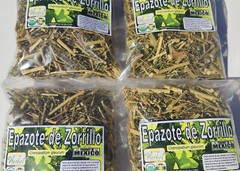 Epazote de Zorrillo, Epazote de perro, Lombrices, Parasitos, Amibas, Chenopodium