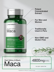 Horbäach Maca Root Capsules for Men and Women | 120 Pills | High Potency Ext…