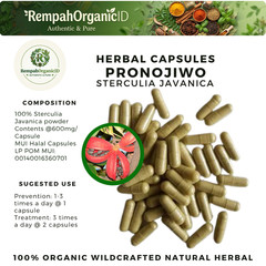 100 CAPSULES PRONOJIWO STERCULIA JAVANICA NATURAL ORGANIC HERBAL HERBS