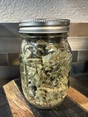 Dried Mullein