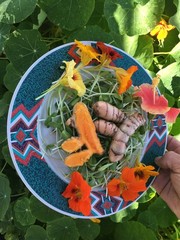 1-15lbs fresh turmeric root