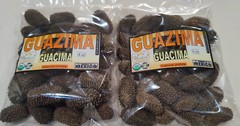 guazima guásimo guácima guásima caulote cuaulote Guazuma ulmifolia semillas 4oz