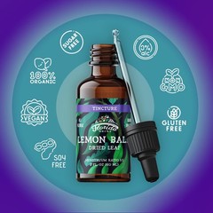 FLORIDA HERBS Lemon Balm Tincture 2 oz – Organic Herbal 2 Fl Oz (Pack of 1)