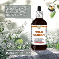 Wild Carrot (Daucus Carota) Dry Seed Tincture, All Natural, Vegan, Pure Liquid E