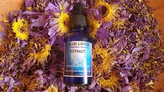 Blue Lotus-Nymphaea Caerulea Egyptian-Glycerin Tincture Very Potent 1 oz.(30ml)