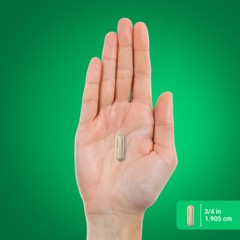 Purslane Capsules | 500mg | 100 Count | Portulaca Extract | by Piping Rock