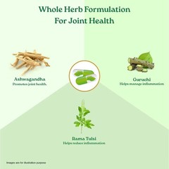 Organic India Flexibility 60 Capsules Ayurvedic Herbal Joint Support 5 Pack