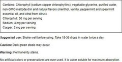 ChlorOxygen Chlorophyll Concentrate Dietary Supplement Builds Better Blood Boost