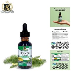 Alcohol-Free Horsetail Herb Liquid Extract, 1oz – Supports Healthy Hair & Skin