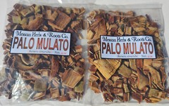 Palo mulato bursera simaruba naked indian mulatto stick jiñocuabo gumbo limbo