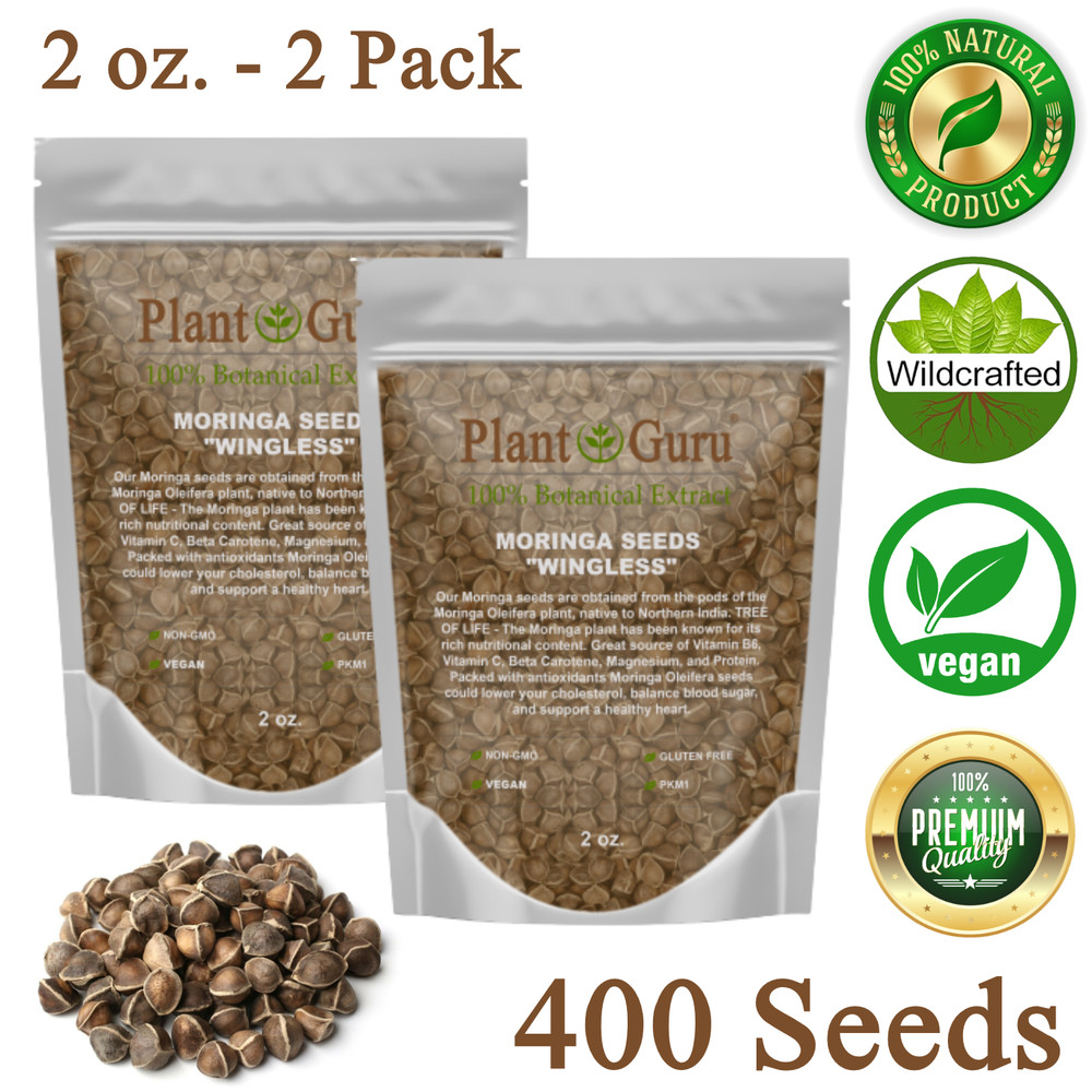 400 Moringa Oleifera Seeds 2 oz. (2 Pack) WINGLESS Fresh Semillas de Moringa