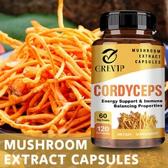 120pcs Cordyceps 1000mg – Mushroom Extract-Boost Energy & Stamina,Immune Support