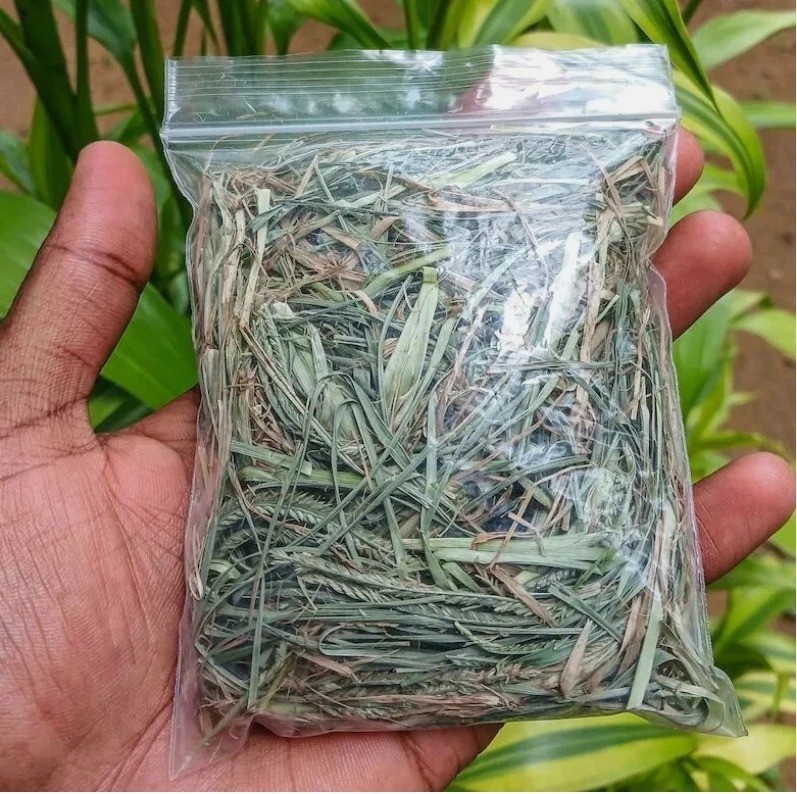 70g Ayurvedic Dried Paragis Plant Eleusine Indica Goose Grass – Poaceae Herb
