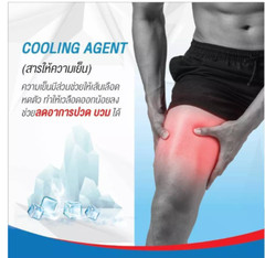 2X Longanoid Regin Cool SR Aroma Massage Gel Herbal Longan Seed Extract