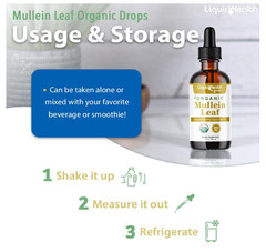 LIQUIDHEALTH USDA Organic Mullein Leaf Extract Drops for Lungs – Herbal Cleansin