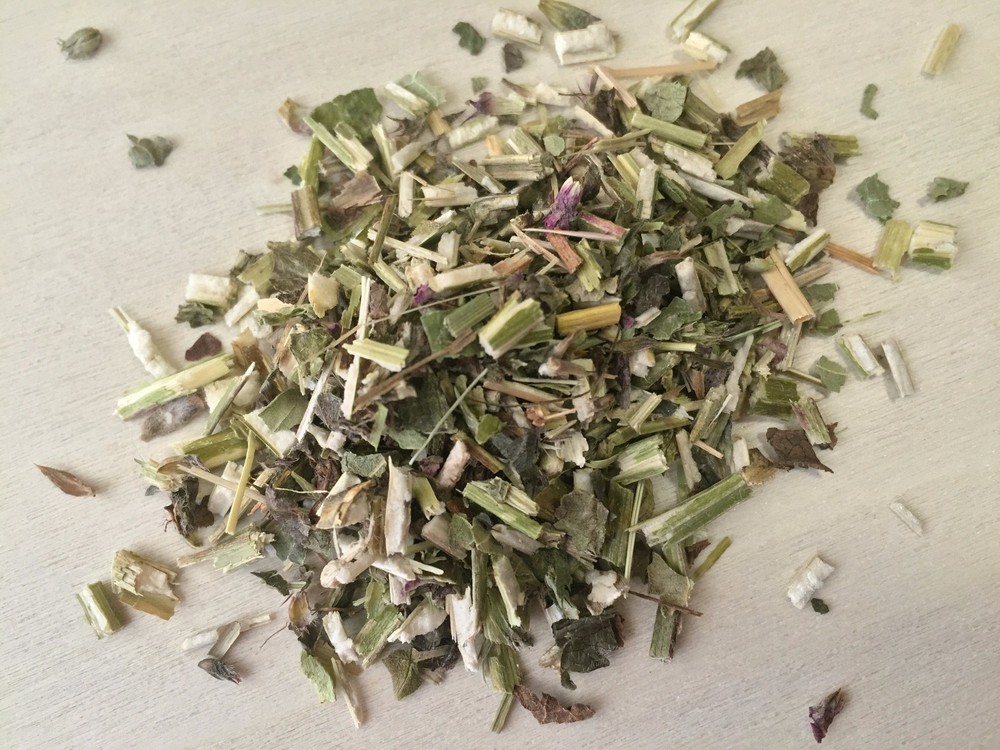 Wood Betony, Stachys officinalis, Wild-Crafted ~ Schmerbals Herbals