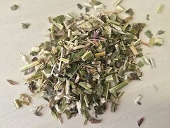 Wood Betony, Stachys officinalis, Wild-Crafted ~ Schmerbals Herbals