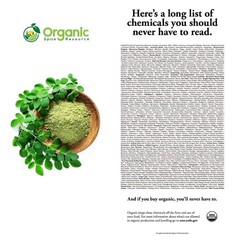 USDA Organic Moringa Powder 1.10 lbs | Gluten-Free Natural Superfood