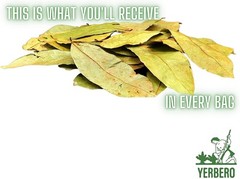 Yerbero – Whole Dried Graviola Soursop Leaves (4 oz – 330+ Leaves Per Bag) Hoja