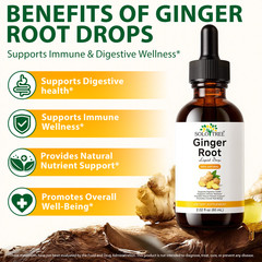 Ginger Root Extract Drops – Immune & Digestive Support Liquid Ginger Supplement