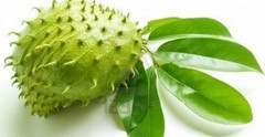 Graviola Soursop 4:1 powder 16oz(453g) Freeze Dried Kosher Antibacterial SoFruta
